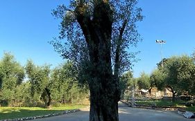 Casa Vacanze La Selva
